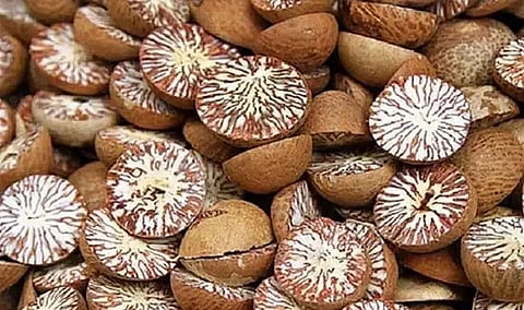 Assam Rifles foils smuggling bid in Manipur’s Kamjong, 958 bags of areca nuts seized