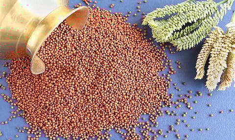 Millet products launched under brand name ‘Uttarporia Millets’ in Lakhimpur