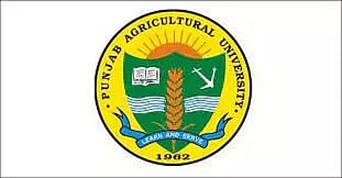 Punjab Agricultural University Recruitment 2023 –Security Supervisor vacany, Job Opening