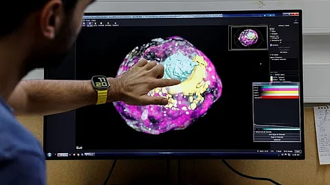 Israeli scientists create complete human-like embryo models from stem cells