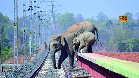 Northeast Frontier Railway introduces AI-based surveillance in elephant corridors