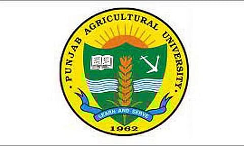 Punjab Agricultural University Recruitment 2023 – Security Supervisor vacancy, Job Opening