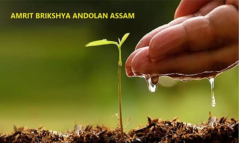 Assam: Tinsukia DC reviews preparations for Amrit Briksha Andolan