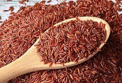 Exports of Assam agro-products: Lack of facilities affects small exporters