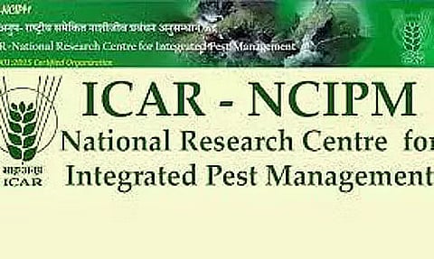 ICAR-NCIPM Recruitment 2023- Research Associate-I Vacancy, Job Opening