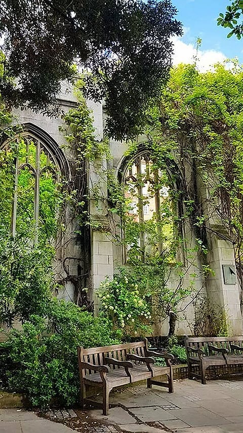 Enchanting Destinations That Leave You in Awe