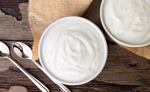 Greek yoghurt may help tackle your garlic breath: Researchers
