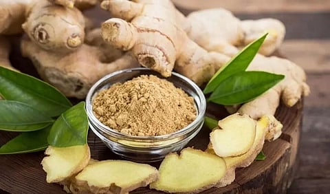 Ginger supplements can be beneficial in treating autoimmune diseases