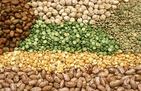 Assam: Scientific discussion held on Rabi crops in Morigaon