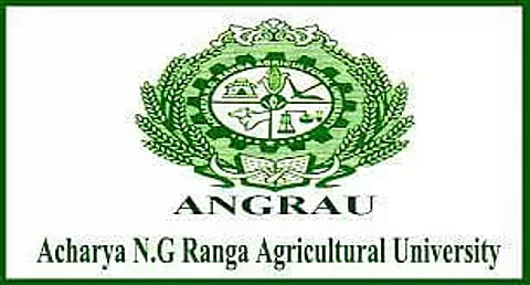 ANGRAU Recruitment 2023 – Young Professional-I Vacancy, Job opening
