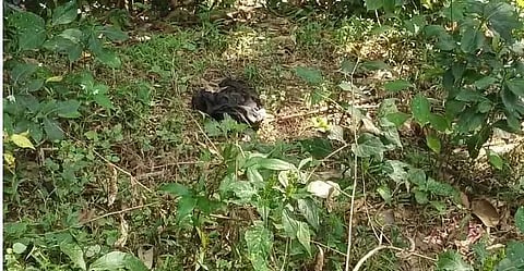 Assam: Human Skeleton Recovered in Lumding