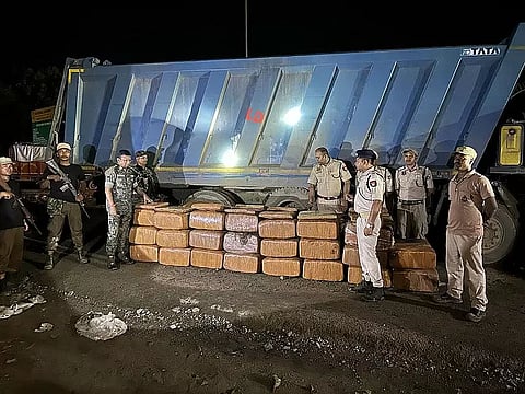 Assam: Massive Cannabis Seizure in Cachar; 1,705 Kg Recovered