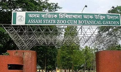 Portion of guard wall of Assam State Zoo-cum-Botanical Garden collapses