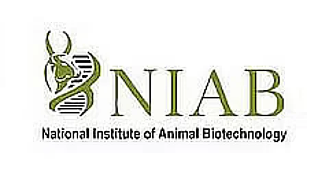 NIAB Recruitment 2023 – Senior Research Fellow Vacancy, Job Opening