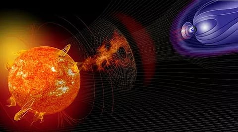 14,300-year-old tree rings reveal largest-ever solar storm