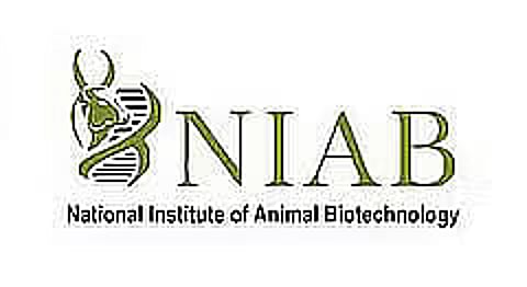 NIAB Recruitment 2023- Project Associate – I Vacancy, Job Opening