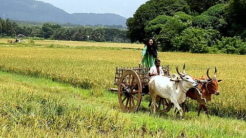 Our founding fathers and their conflicting views on village life