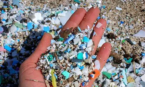 Microplastics: Silent contaminants of ecosystems