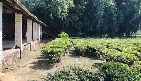 Assam: Students’ Organisation Demands Eviction of Businesses Illegally Occupying Govt Land