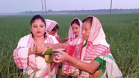 Assam: Assamese traditional Kati Bihu celebrated