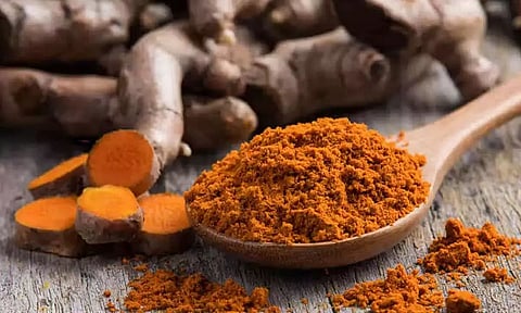 Lucknow University botanists discover new disease in turmeric
