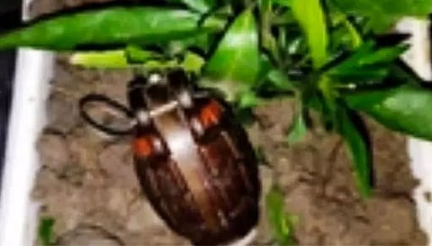 Manipur: Bomb Defused at District Council Chairman's Residence