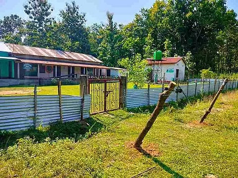 Assam: Aaranyak installs solar fences to keep off elephants from LP schools