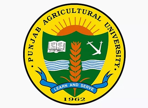 Punjab Agricultural University Recruitment 2023 - Project Associate Vacancy,Job Opening
