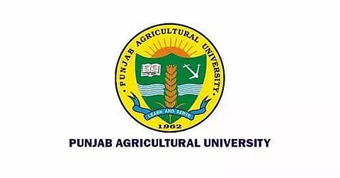 Punjab Agricultural University 