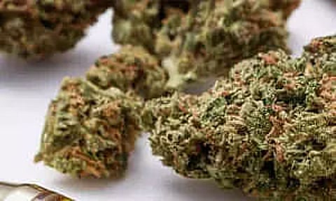 Assam Police seized 55 packets of ganja at Demow