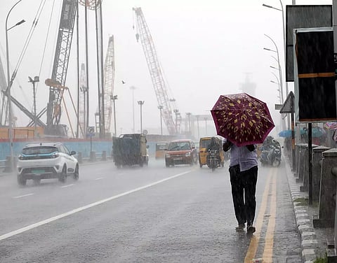 Tamil Nadu: Holiday Declared for Schools in Multiple Districts Over Northeast Monsoon