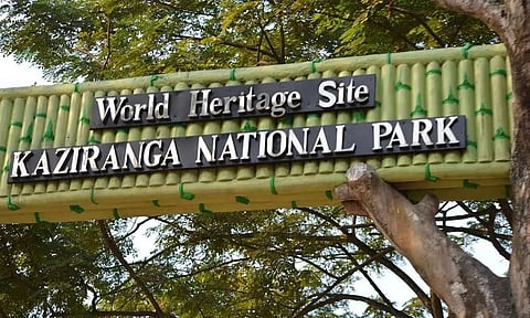 Assam Rifles Public School organizes excursion to Kaziranga National Park