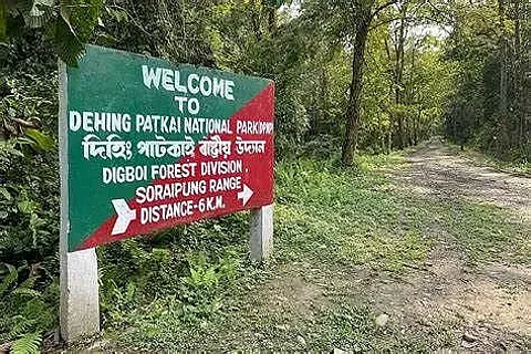 Assam: Dehing Patkai National Park Officially Opened to Public, Focusing on Environmental and Industrial Growth