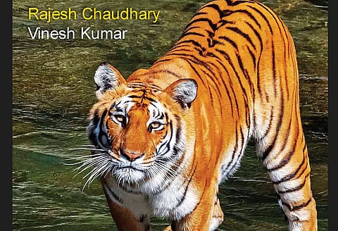 Wildlife In and Around Corbett Tiger Reserve