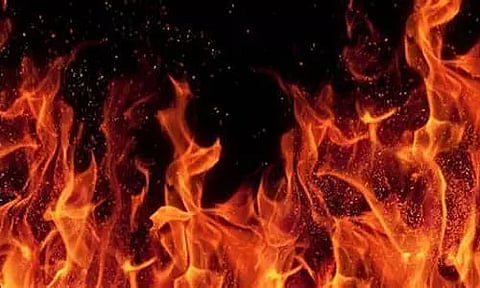 Assam: Massive Wildfire Engulfs Jiadhal Forest in Dhemaji