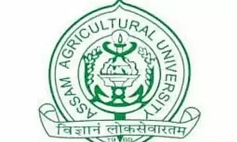 Assam Agricultural University Recruitment 2024 - Grade-IV Vacancy, Latest Jobs