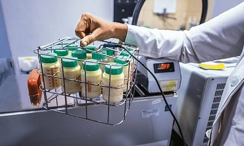 Human milk bank stalls over the opposition in Bangladesh