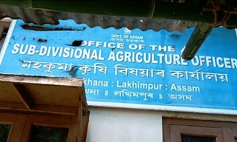Demand to fill up Dhakuakhana Subdivisional Agriculture Officer's post lying vacant