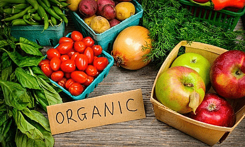 Farmers' Store At Laitsohpliah Promotes Organic Products