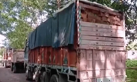 Truck laden with illegal timbers seized by BJP Yuva Morcha in Tinsukia