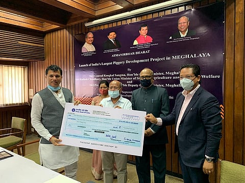 India's 'largest piggery mission' launched in Meghalaya