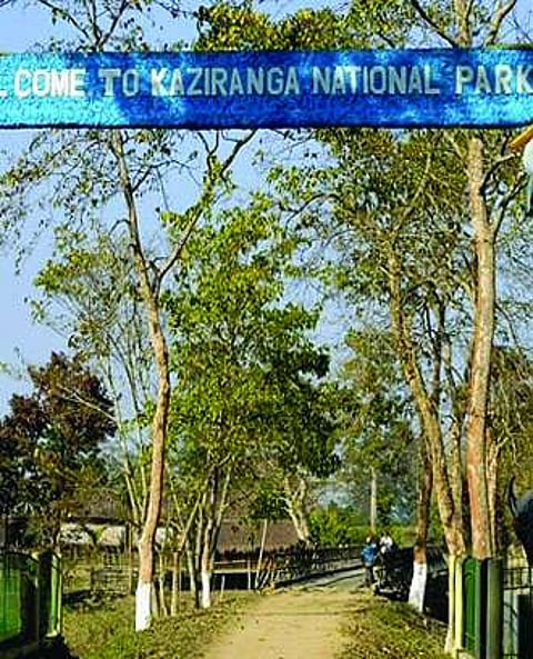 Parking mece at North Lakhimpur Town