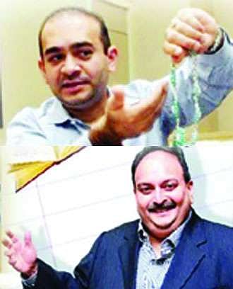 Letters to the Editor