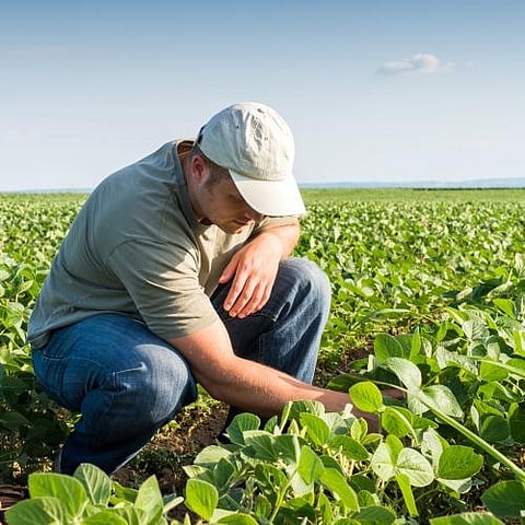 Lakhimpur  DC prohibits catching and killing fish