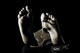 'Pitch in all efforts for protection of children'