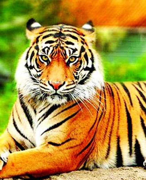 74.45% schools in Assam off the grid