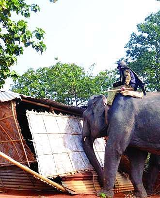 Letters to the Editor