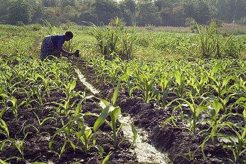 New body of Oikya Se Asom formed