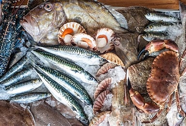 Manipur can have fishery projects: Vice President