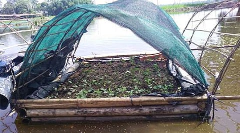 Lawmakers from India's hill States resolve to fight climate change